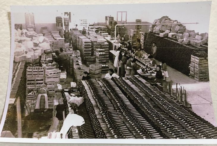 Filas y filas de botellas. Foto: prensa Villa Regina Filas y filas de botellas. Foto: prensa Villa Regina