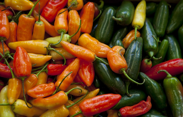 Las buenas prácticas permiten mitigar los peligros biológicos, físicos y químicos. Foto: INTA. Las buenas prácticas permiten mitigar los peligros biológicos, físicos y químicos. Foto: INTA.