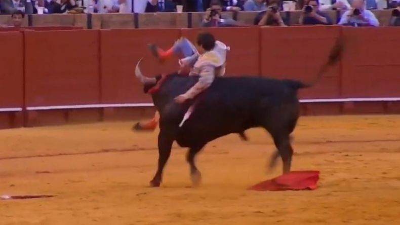 El momento en que el toro embiste al torero y lo lanza por el aire durante la corrida en España. | LM Neuquen El momento en que el toro embiste al torero y lo lanza por el aire durante la corrida en España.