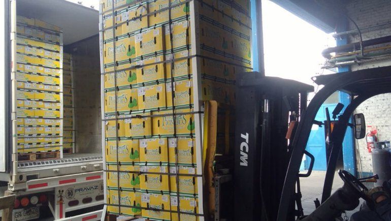 Cooperativa de la zona inició envíos de peras a Perú