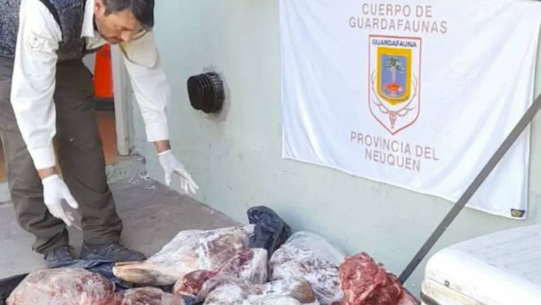 Caza ilegal: vendían carne y milanesas de ciervo en San Martín de los Andes