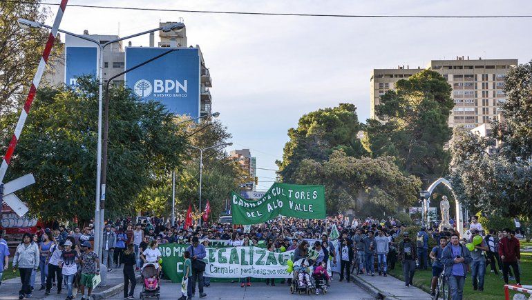 Cannabis: la ciudad, más cerca de autorizar cultivos