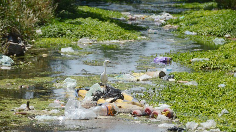 Los vecinos que padecen el mal olor y la mugre dicen que quejarse ya no sirve de nada. Algunos hasta aseguran que el estado del agua es imposible de describir.