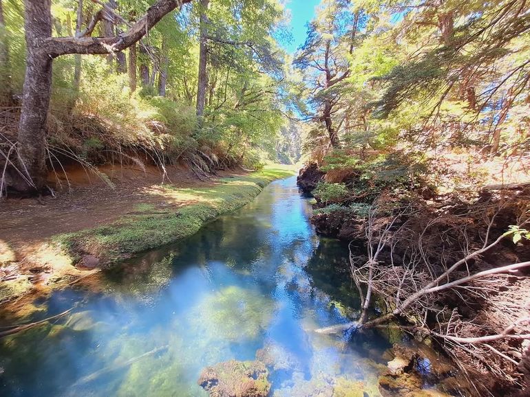 Laguna Verde, Parque Nacional Lanín. Foto: Gentileza de @pedro_leslie Laguna Verde, Parque Nacional Lanín. Foto: Gentileza de @pedro_leslie