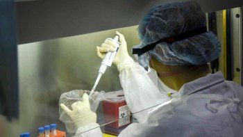 ya son 690 los contagiados y 17 los muertos por coronavirus en el pais ya son 690 los contagiados y 17 los muertos por coronavirus en el pais