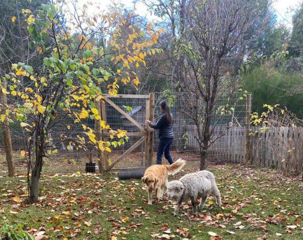 La China Müller en su salsa. Huerta, granja, bodeguita de vinagres y restaurante en Casa Cassis