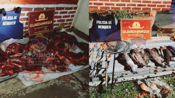 La Policía secuestró truchas, cañas de pescar y carne de ciervo colorado faenada. La Policía secuestró truchas, cañas de pescar y carne de ciervo colorado faenada.