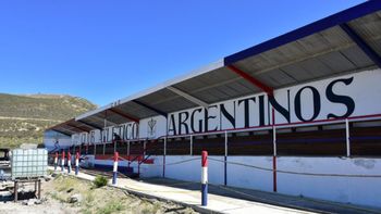 Un club del fútbol barrial busca a Pepa, su peculiar mascota: desapareció después de un partido. Un club del fútbol barrial busca a Pepa, su peculiar mascota: desapareció después de un partido.