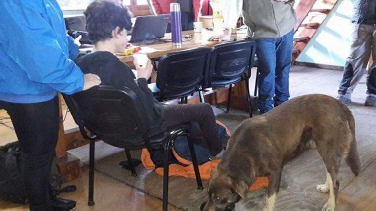 Nene se perdió y pasó la noche en el bosque con temperaturas bajo cero