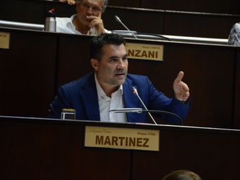 El diputado provincial de Unión por la Patria y ex secretario de Energía de la Nación, Darío Martínez.