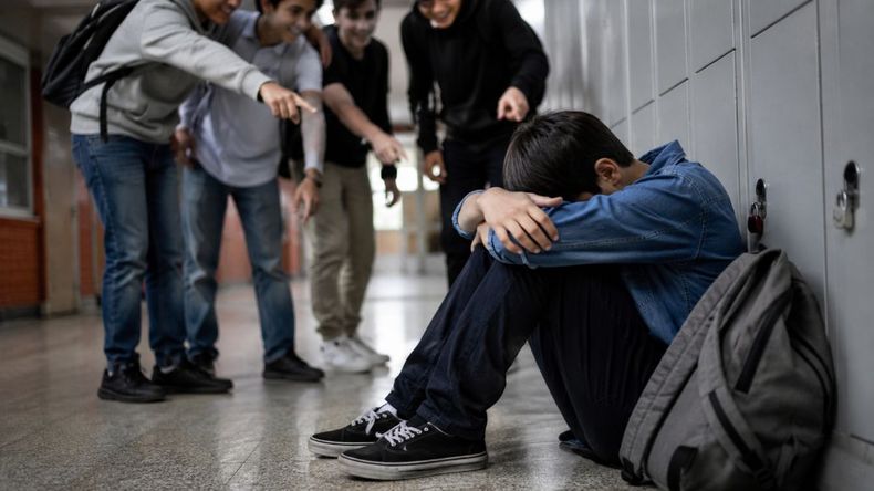 Neuquén capital busca reglamentar su lucha contra el acoso escolar y cibernético. | LM Neuquen Neuquén capital busca reglamentar su lucha contra el acoso escolar y cibernético.