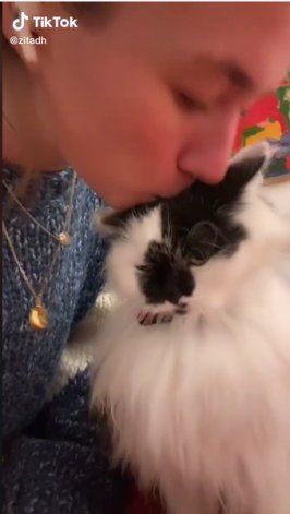 TikTok: un gato le hizo un cariñoso e inesperado gesto a su ama y es viral