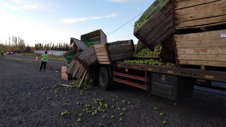 Cipolletti: camión que transportaba peras perdió su carga