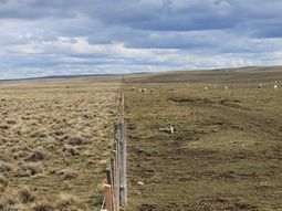 Antes y después del manejo regenerativo. Antes y después del manejo regenerativo.