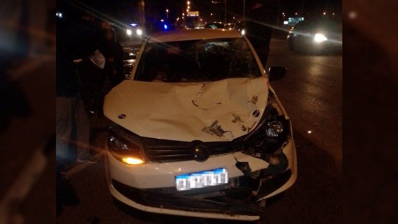 Un taxi embistió un caballo en Ruta 7: Pudo haber sido una tragedia