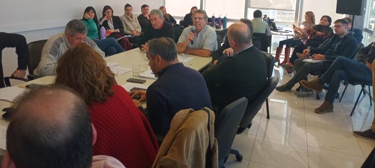 Carlos Zanardi, uno de los productores que acompaño a Carrascos, también expuso ante los legisladores.