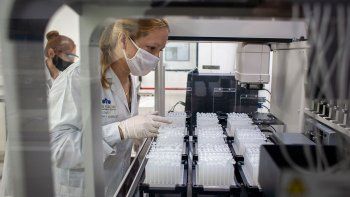 se disparan los casos de coronavirus en el pais: se registraron 648 en un dia se disparan los casos de coronavirus en el pais: se registraron 648 en un dia