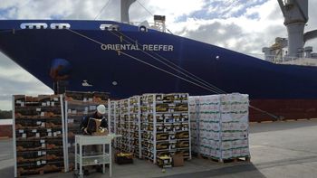 Parte importante de la oferta exportable de pomáceas de la Argentina sale por el puerto de San Antonio Este. Parte importante de la oferta exportable de pomáceas de la Argentina sale por el puerto de San Antonio Este.