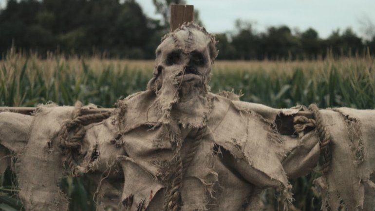 El hallazgo en Google Maps austa a los internautas en TikTok