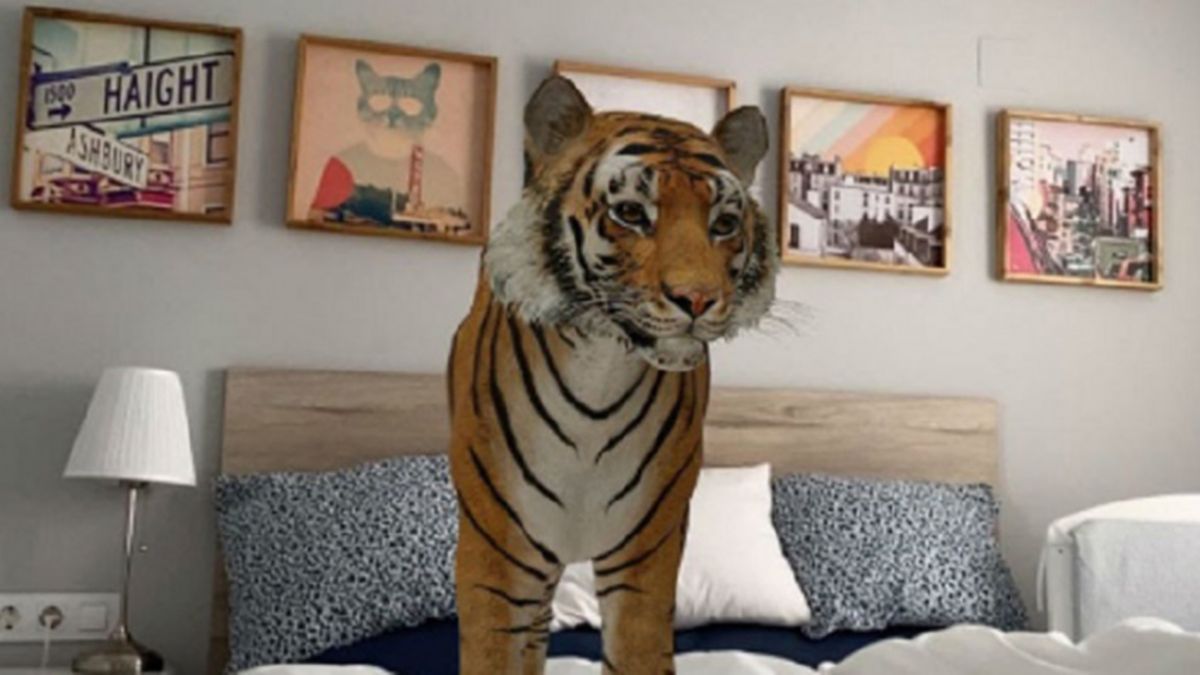 Google lança recurso que leva animais 3D para dentro de casa - Casa Vogue