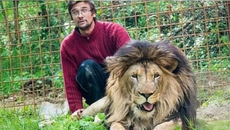 Un hombre murió en República Checa al ser atacado por un león que criaba ilegalmete en su casa. Un hombre murió en República Checa al ser atacado por un león que criaba ilegalmete en su casa.