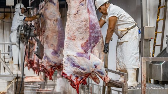 El consumo interno de carne sigue sorprendiendo con los volúmenes que absorbe mensualmente y los valores que convalida para tal nivel de oferta.