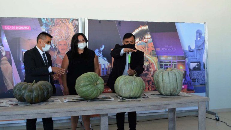 Tiene una huerta familiar y sorprendió con un zapallo de 88 kilos