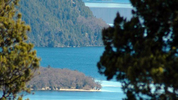Los profesionales del ambiente tienen su día en Neuquén