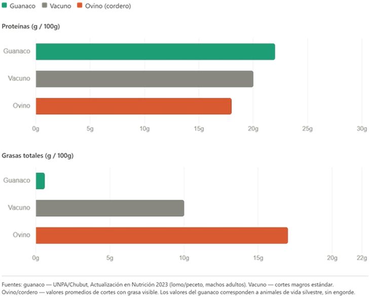 Santa Cruz impulsa el consumo de carne de guanaco: un alimento con m&aacute;s prote&iacute;na que la vaca y 95% menos grasa que el cordero.