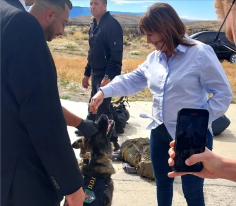 La ministra Patricia Bullrich felicitca a Candy, cuando en enero de 2024 la perra detectó droga en un micro. La ministra Patricia Bullrich felicitca a Candy, cuando en enero de 2024 la perra detectó droga en un micro. 