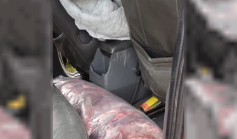 También había carne de guanaco en el interior de la Ford Ranger, donde la policía también halló municiones. También había carne de guanaco en el interior de la Ford Ranger, donde la policía también halló municiones.