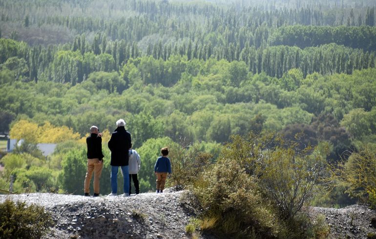 Cómo estará el tiempo en Neuquén durante el domingo del Día de la Madre