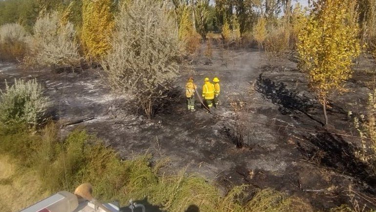 Complicado incendio en una chacra de Centenario: estuvo a metros de una vivienda