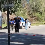 Un perro mató a una nena de 4 años en Cosquín. | LM Neuquen Un perro mató a una nena de 4 años en Cosquín.