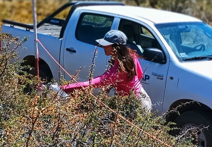 Lucila Bertotti, investigadora del CONICET y del CIEFAP que impulsó el proyecto de ciencia ciudadana para mapear el calafate.