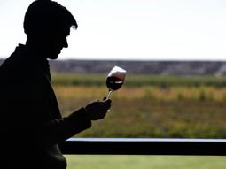 La situación del Malbec a granel no es una simple historia de caída.