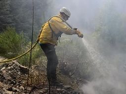 gobernador de chubut: el incendio en puerto patriada esta contenido en un 85% gobernador de chubut: el incendio en puerto patriada esta contenido en un 85%