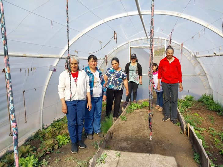 Las huerteras del Huecú Có, en marcha. Foto: gentileza. Las huerteras del Huecú Có, en marcha. Foto: gentileza.