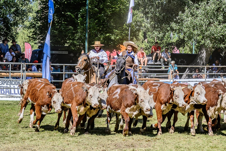 La Sociedad Rural del Neuquén (SRN) llevará adelante una nueva edición de la Expo Bovinos, uno de los principales encuentros de la actividad ganadera de la provincia. 