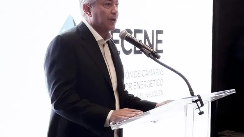 Figueroa expuso en Houston, Estados Unidos. | LM Neuquen Figueroa expuso en Houston, Estados Unidos.