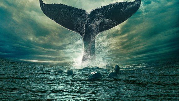 Creen que Moby Dick  pasó por nuestros mares