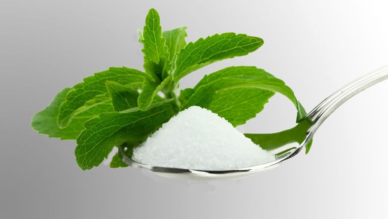 La estevia es uno de los endulzantes claves para reducir la glucosa y evitar el azúcar. La estevia es uno de los endulzantes claves para reducir la glucosa y evitar el azúcar.