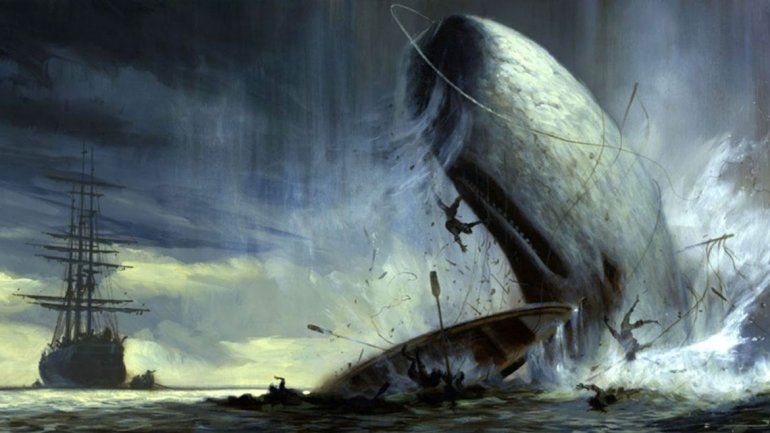 Creen que Moby Dick  pasó por nuestros mares