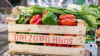 fin de semana xxl: ¿que horarios tendra el mercado concentrador este viernes y lunes? fin de semana xxl: ¿que horarios tendra el mercado concentrador este viernes y lunes?