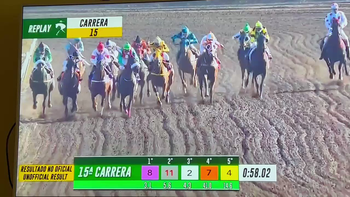 video sensible: rodo, otro caballo le pateo la cabeza y esta grave video sensible: rodo, otro caballo le pateo la cabeza y esta grave