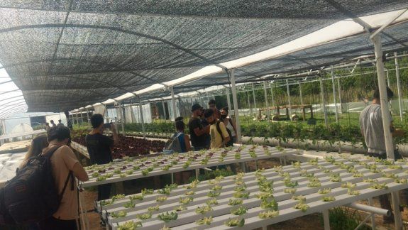 Estudiantes realizaron un invernadero hidropónico con energía solar