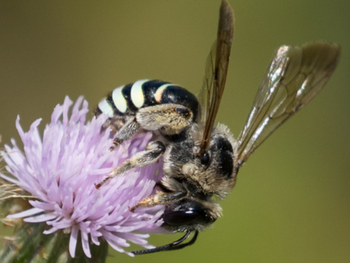 Foto: Argentinat Foto: Argentinat