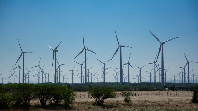 No todo es Vaca Muerta en esta materia. La Provincia estudia si presenta sus parques eólicos en la nueva instancia del RenovAr