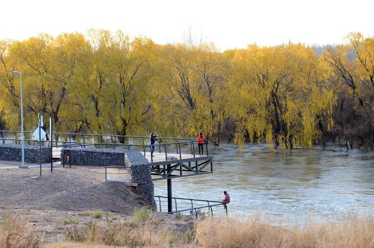 En fotos, así se ve la crecida del río Neuquén desde el mirador