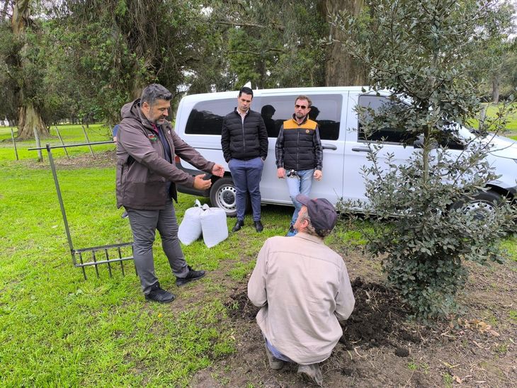 Hay 300 hectáreas plantadas. En la Patagonia hay cultivos en varias localidades: 4 en el Alto Valle, en Roca, Cipolletti, y Neuquén. Hay 300 hectáreas plantadas. En la Patagonia hay cultivos en varias localidades: 4 en el Alto Valle, en Roca, Cipolletti, y Neuquén.